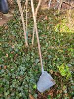 Jauchenkelle Jauchenschippe Garten Dünger Deko Sachsen - Neukirch/Lausitz Vorschau