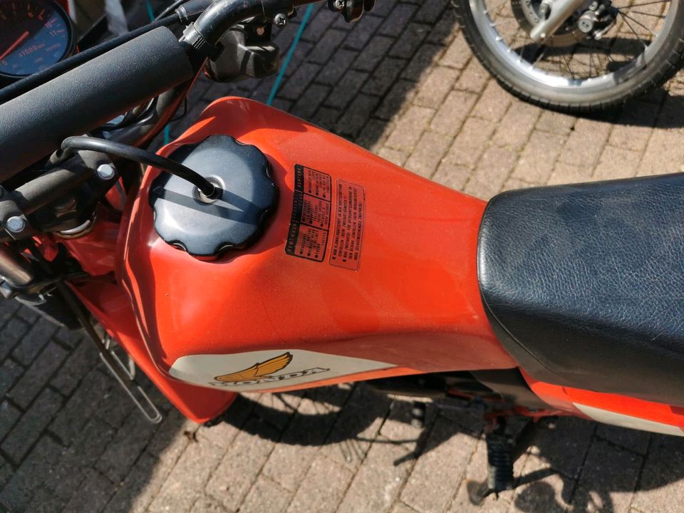 Honda MTX 50 - unverbastelter Originalzustand in Kassel