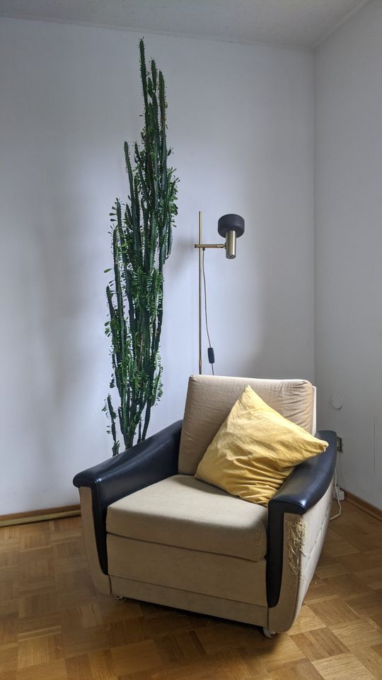 ZU VERSCHENKEN: Sessel | Vintage, Shabby, 70er | beige olivgrün in Veitshöchheim