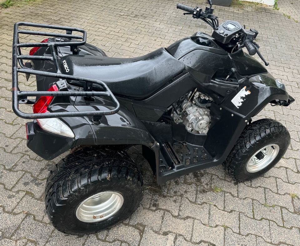 Quad Kymco MXU 250 in Eppstein