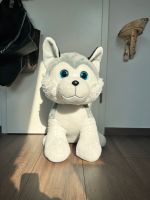 XXL Hund Plüsch Kuscheltier Geschenk Husky Kind Stofftier Teddy Kreis Ostholstein - Bad Schwartau Vorschau