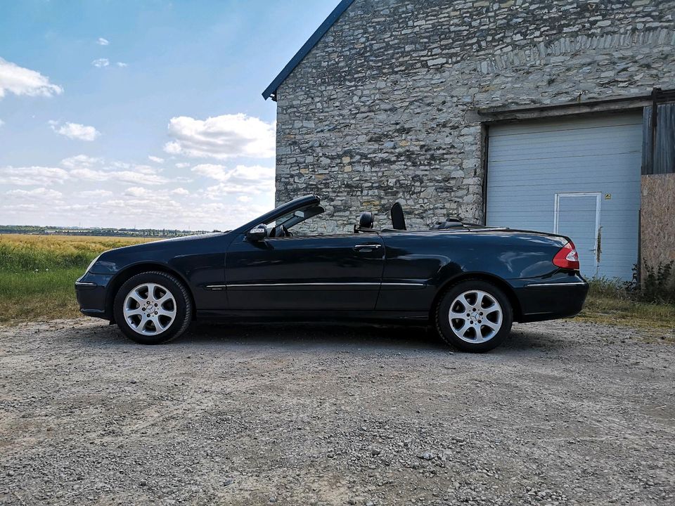 neue Steuerkette Mercedes Benz CLK 200 Kompressor Elegance Cabrio in Erwitte