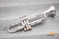 ADAMS A5 Trompete Trumpet Silber Silver 0,40 Bayern - Wiedergeltingen Vorschau