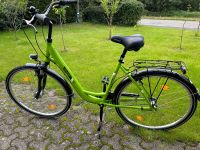 *Neu* BBF Collection Line Cityrad Damen Fahrrad 28 Zoll Nordrhein-Westfalen - Wesel Vorschau