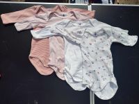 Vier Langarmbodies von Petit Bateau 67 68 Hannover - Mitte Vorschau