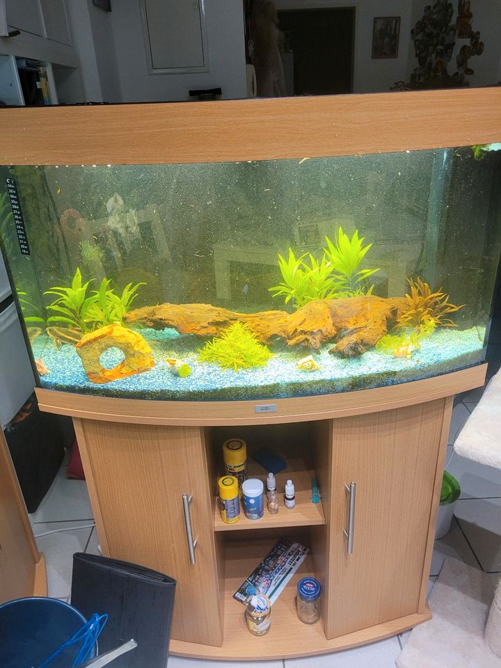 Aquarium 180 Liter in Senden