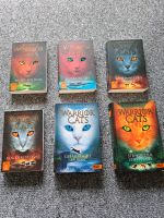 Erin Hunter - WARRIOR CATS - Staffel 1 Nordrhein-Westfalen - Blomberg Vorschau