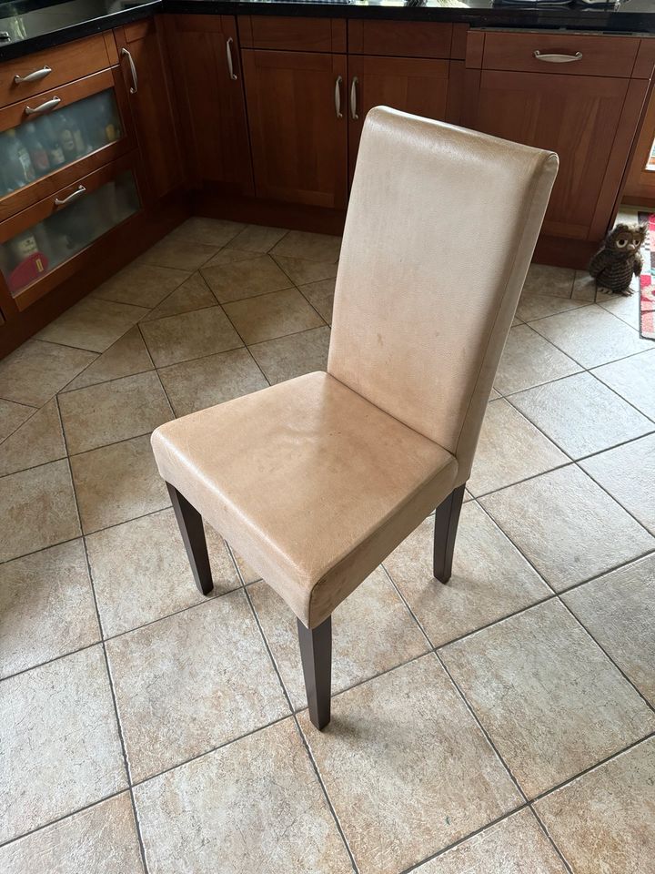 Stühle für den Esstisch, rustikal, mit Leder bezogen in Wandlitz