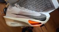 Nike Alphafly 3 Proto 45 - Neu / Tausch Sachsen-Anhalt - Lutherstadt Wittenberg Vorschau