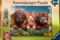 Ravensburger Katzen Puzzle 300 XXL 9 + Nordrhein-Westfalen - Neuss Vorschau