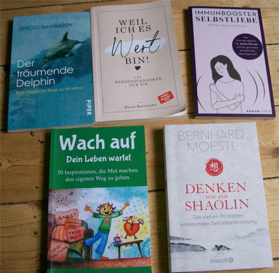 Konvolut 11 Stück Bücher Lebenshilfe, Selbstliebe in Heinsberg