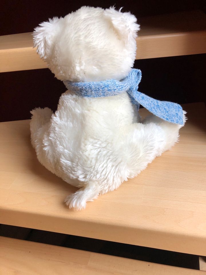 Süßer weißer Teddy Bär 26 cm hoch im sitzen in Weimar