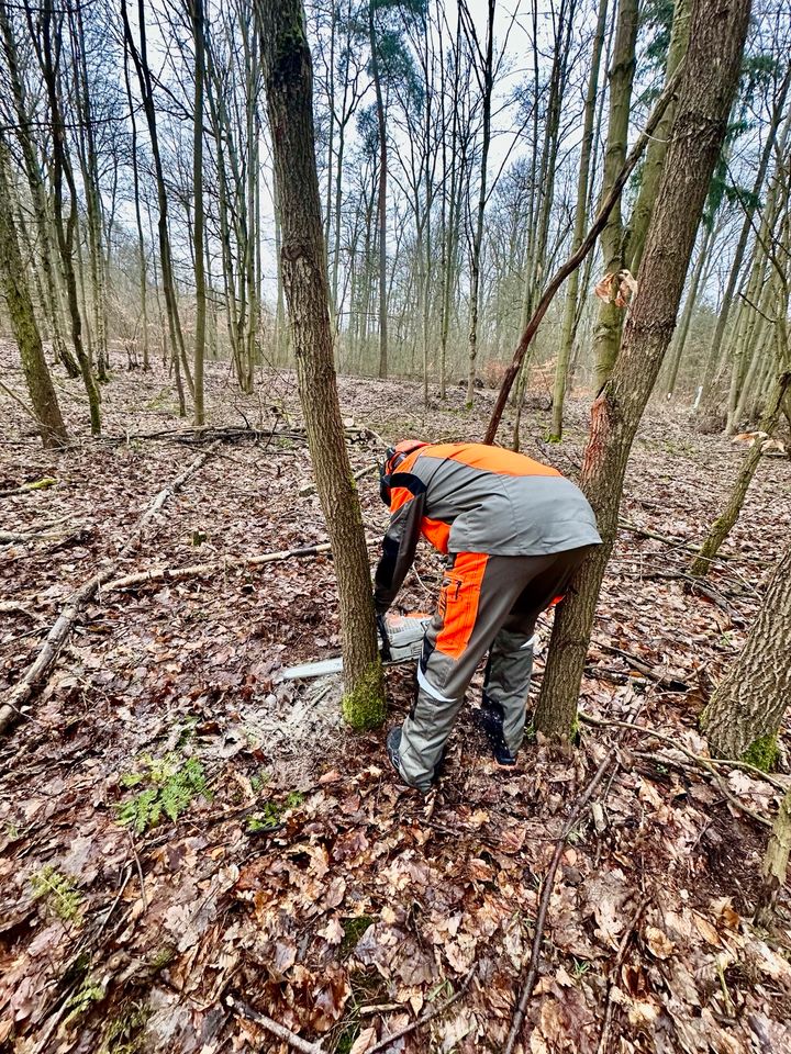 Motorsägenkurs, Kettensägenschein, Brennholzkurs in Fürstenberg/Havel