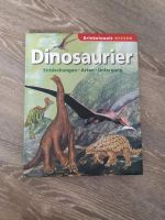 Dinosaurier Rheinland-Pfalz - Rodenbach Vorschau
