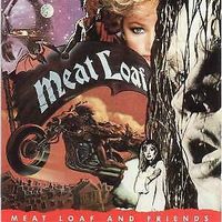 CD Meat Loaf And Friends 12 Tracks LZ: 73:26 Rheinland-Pfalz - Gau-Bischofsheim Vorschau