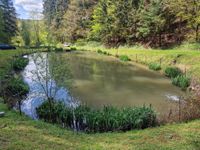 Weiher Teich Fischweiher Freizeitgrundstück zuverkaufen Weselberg Rheinland-Pfalz - Kaiserslautern Vorschau