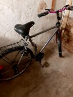 28 zoll Fahrrad Rheinland-Pfalz - Kaiserslautern Vorschau