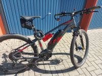 e-Bike  Raymon Schleswig-Holstein - Ascheberg Vorschau