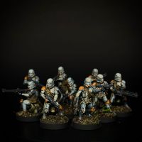 Star Wars Legion, Klontruppen, 212. Airborne Trooper Dresden - Dresden-Plauen Vorschau