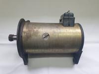 Lichtmaschine Gleichstrom 6V Trabant DDR NEU Sachsen - Dahlen Vorschau