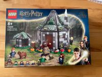 Lego Harry Potter 76428 Nordrhein-Westfalen - Borken Vorschau