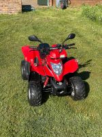 Kymco Maxxer 50 Sports Quad mit Straßenzulassung Brandenburg - Am Mellensee Vorschau