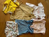 Bellybutten- Petit Bateau Mädchen Marken Sommerpaket Gr. 86 Niedersachsen - Wedemark Vorschau