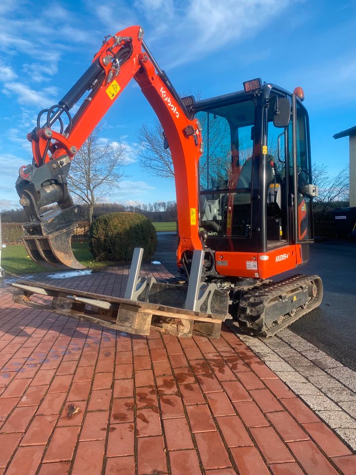 Palettenzinken Schild Kubota KX019-4 KX016 KX018 Minibagger in Brakel