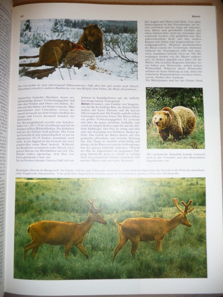 Das große farbige Tierlexikon" Bildband in Baden-Württemberg - Ditzingen |  eBay Kleinanzeigen ist jetzt Kleinanzeigen