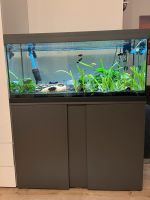 Eheim Aquarium 180L mit Unterschrank, Filter und Besatz Nordrhein-Westfalen - Monheim am Rhein Vorschau