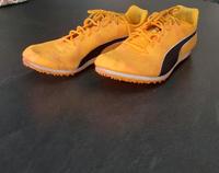 Spikes Puma Evo Speed 8 Gr. 40 Bayern - Essenbach Vorschau