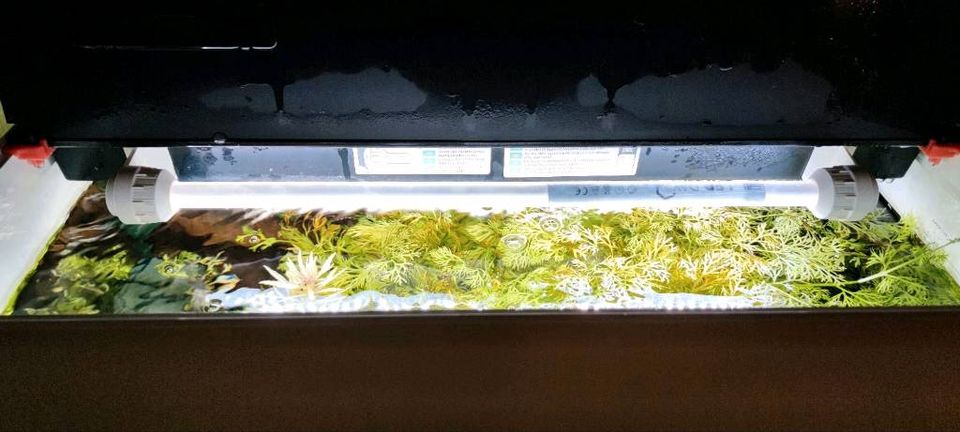 Juwel Lido 120 LED Aquarium mit Unterschrank, Zubehör und Deko in Erpolzheim