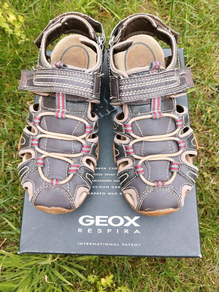 ‼️Gr. 34‼️GEOX Sandalen in Wismar