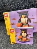 Lego Halloween Eule | 40497 Nordrhein-Westfalen - Moers Vorschau