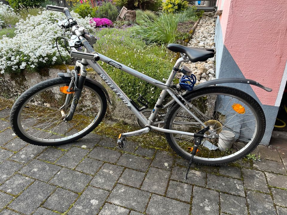 Mountainbike Wheeler 26 Zoll in Mehring