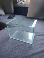 Mini Aquarium 17x25x18 cm (TxLxH) Aachen - Aachen-Brand Vorschau