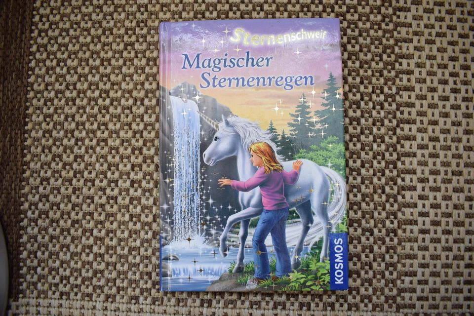 Kinderbuch Atlas 3D Feen Prinzessin Quiz Rätsel Sternenschweif in Ingolstadt