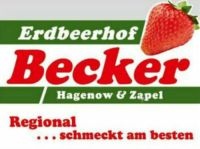 Verkäufer/-in (m/w/d) für Erdbeeren in HH Wandsbek gesucht Wandsbek - Hamburg Rahlstedt Vorschau