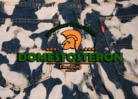 Domestoshose Bleacher Skinhead Punk w30 w32 w34 w36 w38 Schleswig-Holstein - Flensburg Vorschau