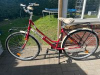 Damen Fahrrad 26 zoll Mädchen Fahrrad Schleswig-Holstein - Groß Offenseth-Aspern Vorschau