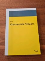Kommunale Steuern Baden-Württemberg - Ammerbuch Vorschau