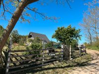 Romantische Holzhaus am Waldrand in Niederfinow Brandenburg - Niederfinow Vorschau