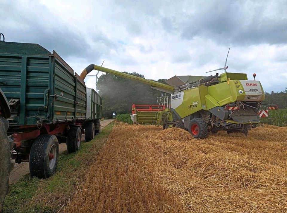 Ausbildungsplatz zum Landwirt /in 2027/28 in Kevelaer