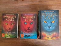 3 Bücher "Warrior Cats" Band 1-3 Bayern - Truchtlaching Vorschau