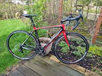 Simplon KIARO Carbon Rennrad  Campagnolo Chorus 11 Nordrhein-Westfalen - Leverkusen Vorschau