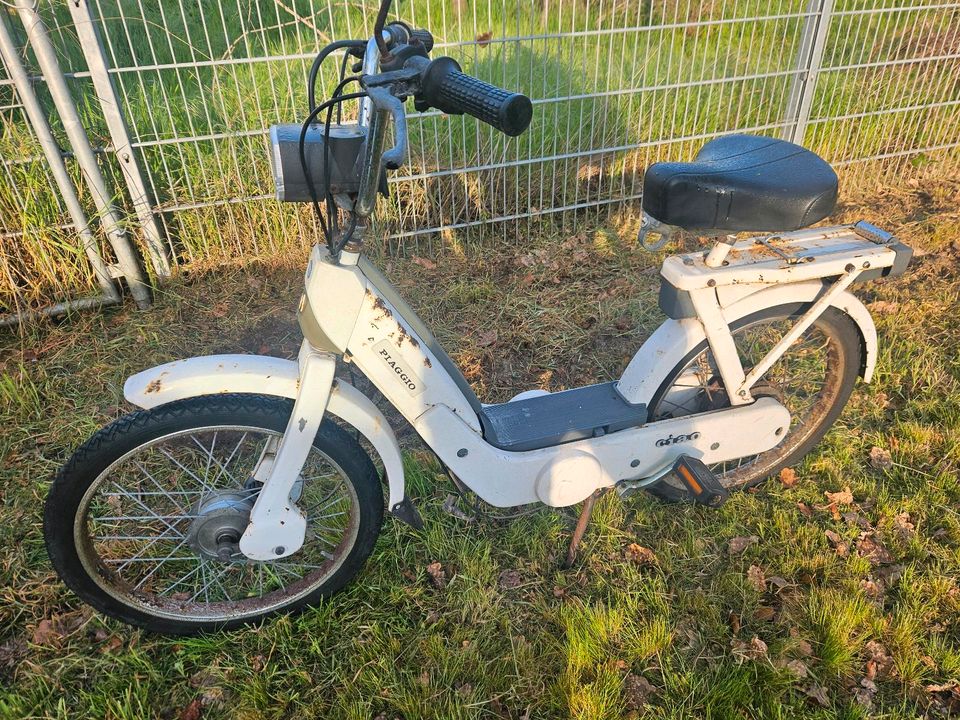 Piaggio Ciao Mofa Moped ähnlich Bravo Si Boxer Teile Schlachtfest in Nettersheim