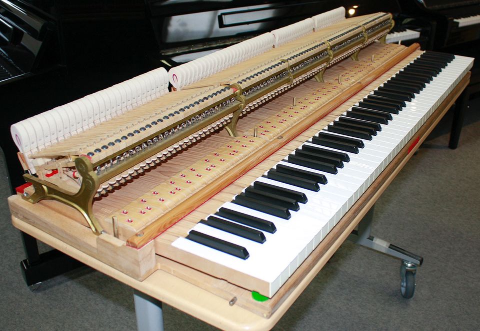 Flügel Klavier Steinway & Sons S-155 weiß poliert, 5 J. Garantie in Egestorf