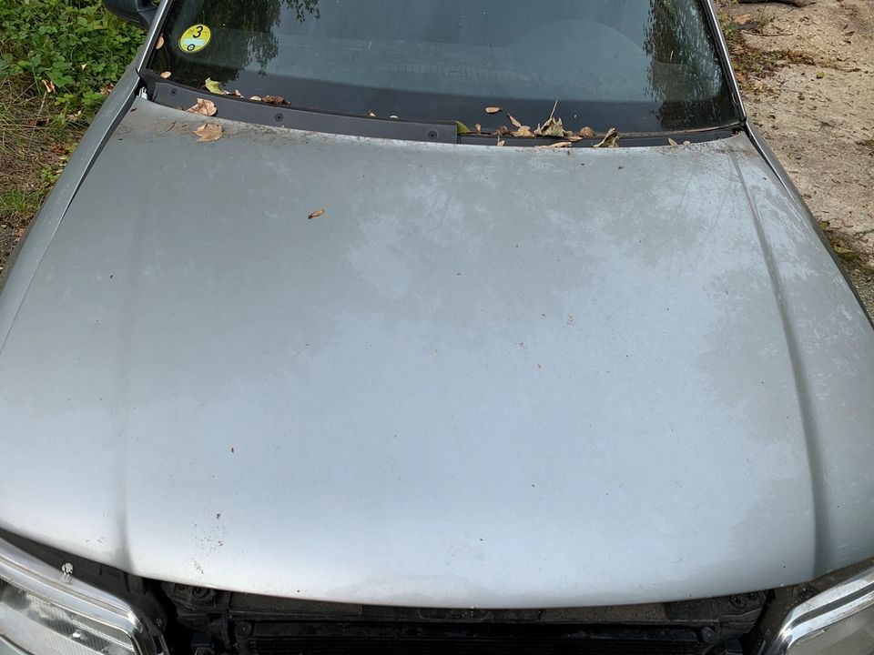 motorhaube Audi A3 8L silber in Baar-Ebenhausen