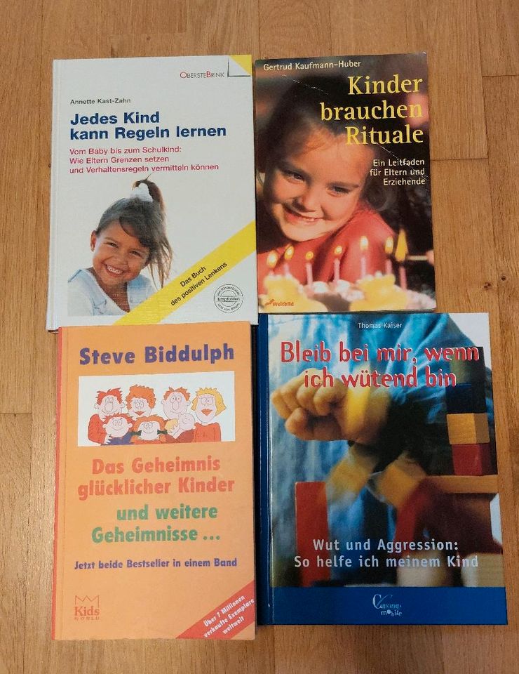 4 Bücher Ratgeber Kindererziehung in Werther bei Nordhausen