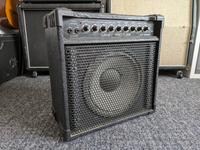Laney Pro-Tube AOR 30 Combo - Bestzustand, diverse Verbesserungen Schleswig-Holstein - Itzehoe Vorschau